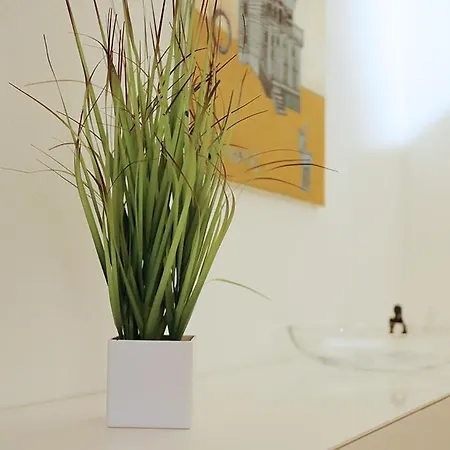 Wassergasse 11 Apartamento