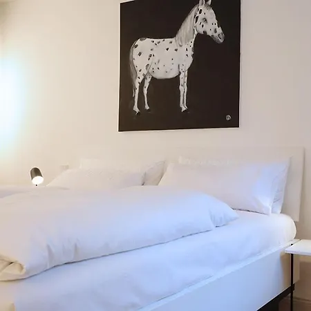 Apartament Wassergasse 11 Ratyzbona